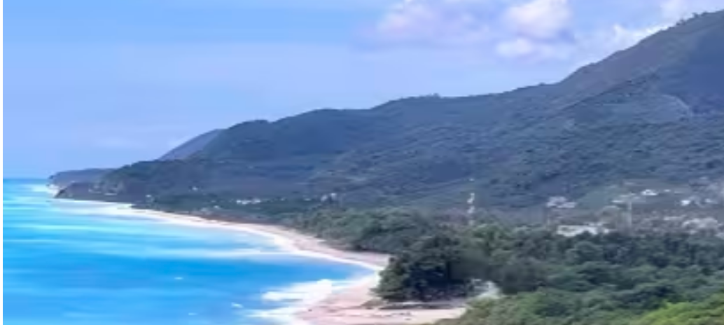 OPORTUNIDAD DE INVERSION - FINCA DE AGUACATES REPUBLICA DOMINICANA